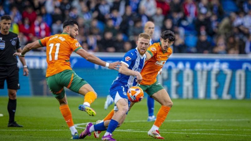 Những dữ liệu thông tin chính tại bảng xếp hạng