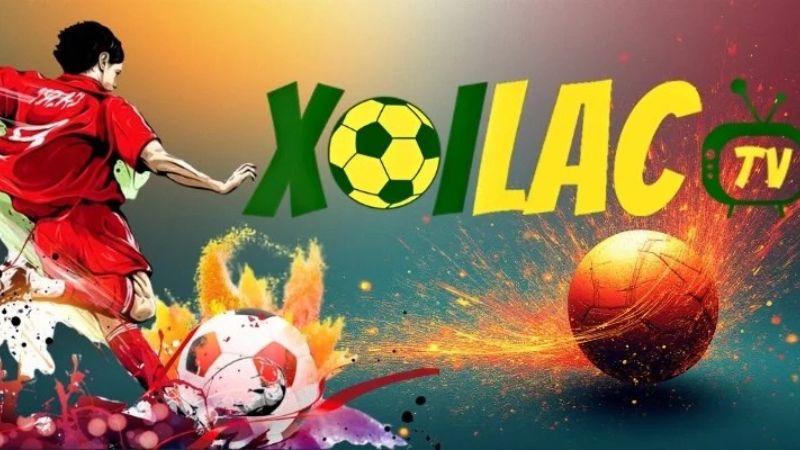 Những câu hỏi thường gặp